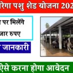 MGNREGA Pashu Shed Yojana 2024